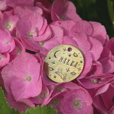 Adresówka kółko #2